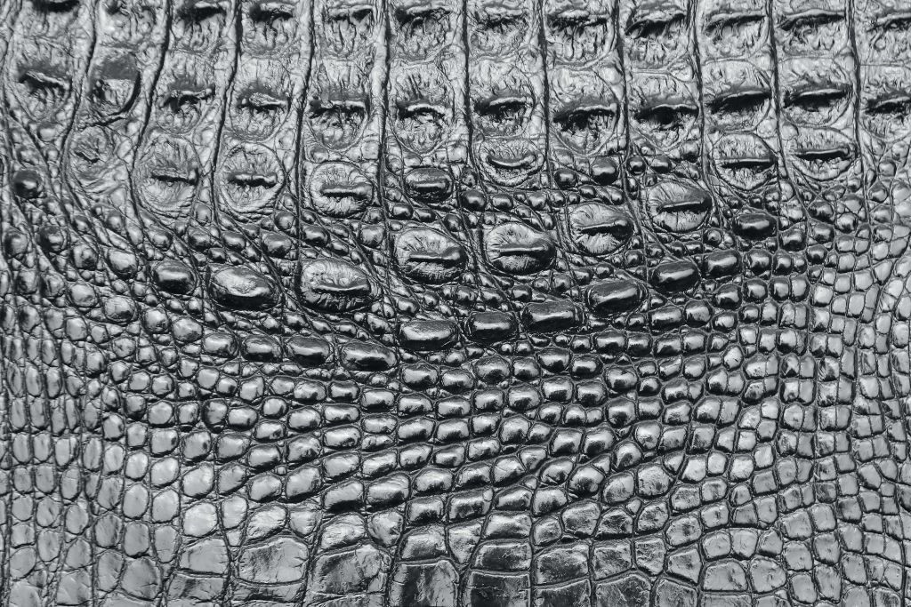 Black crocodile skin