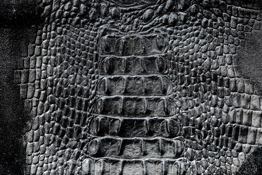 Crocodile skin in black