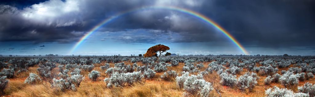 Deserted landscape