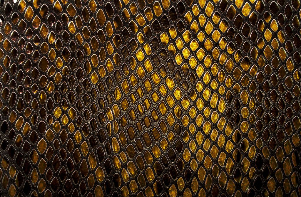 Snake Skin
