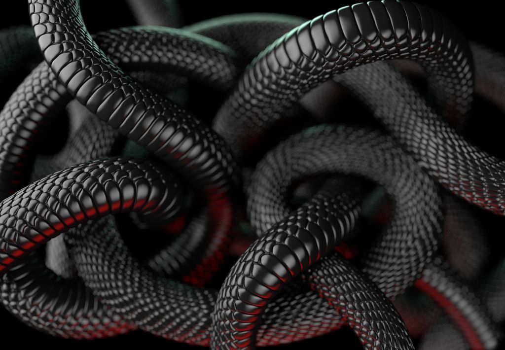 Black Snakes