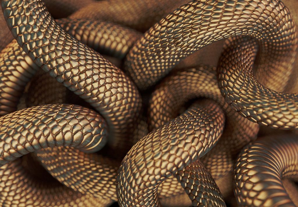 Bronze snakes