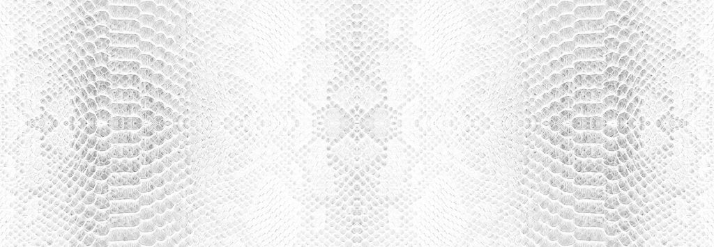 Snake skin texture