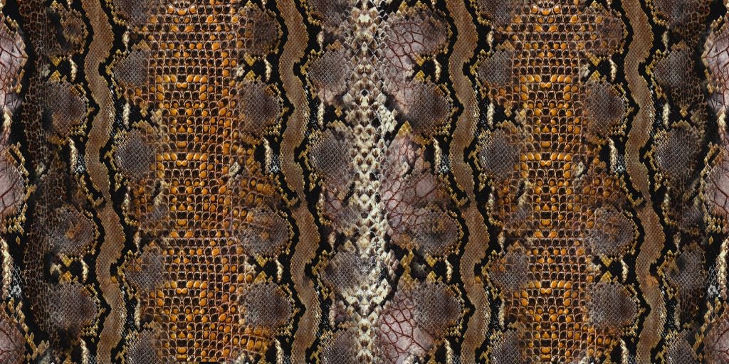 Python skin