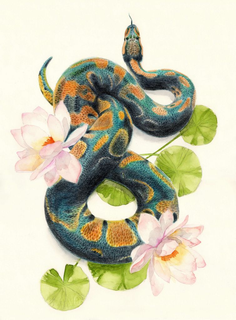 Water colour snake