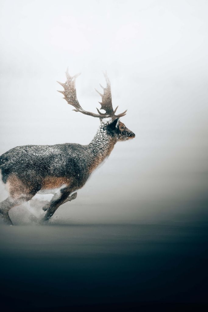 Winter fun