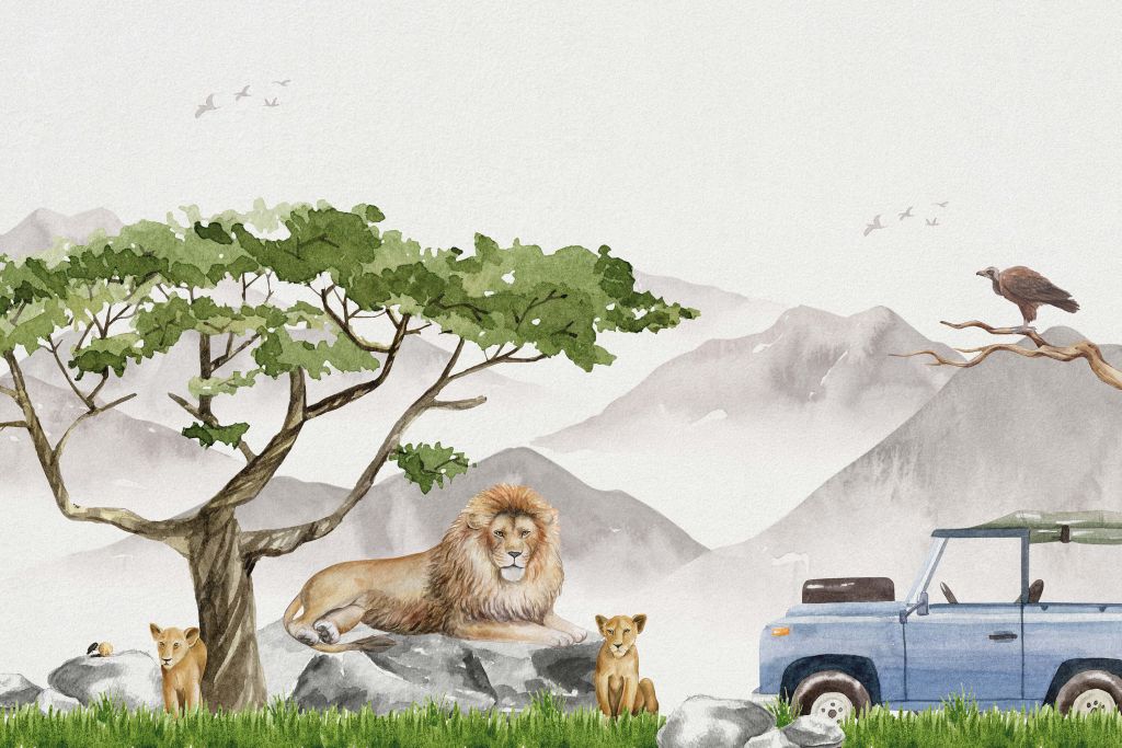 Lion safari