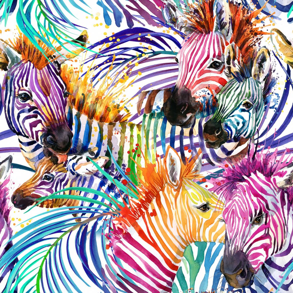 Colored zebras