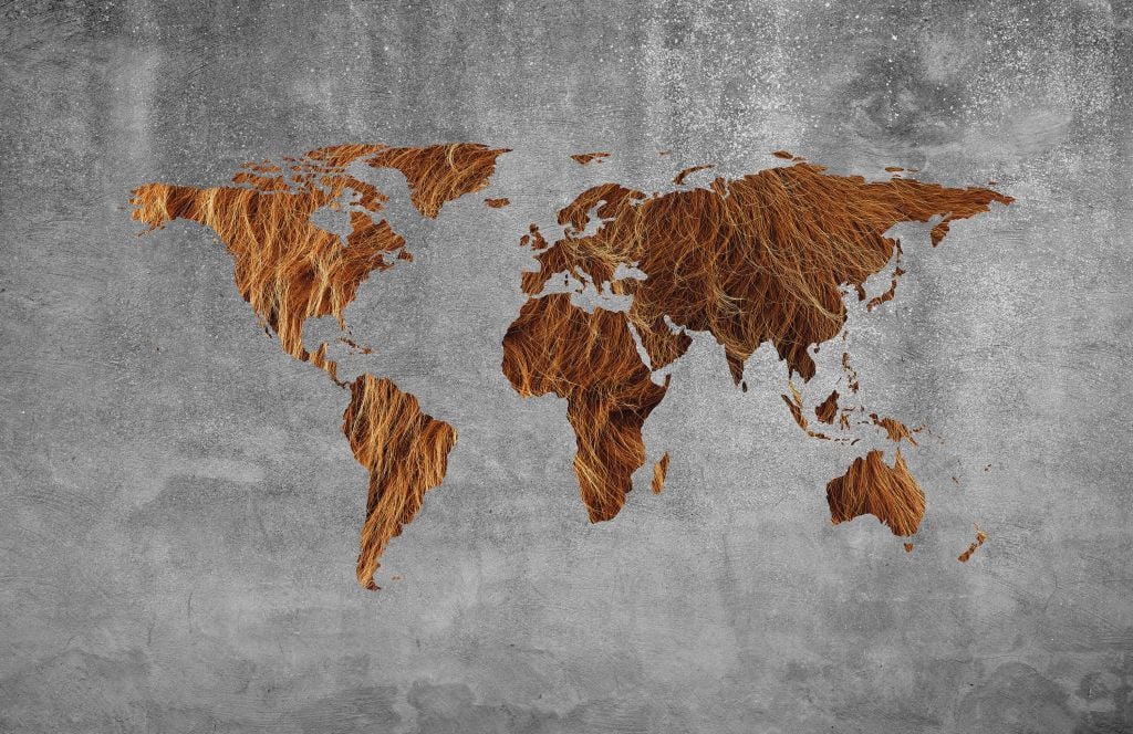 World map with texture