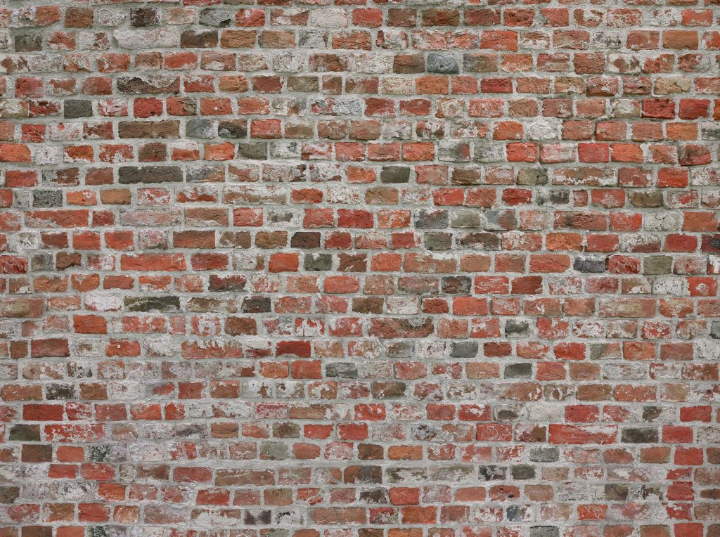 Brick wall restored