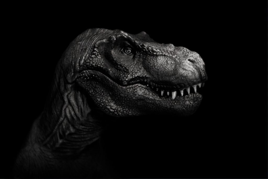 Close-up of a Tyrannosaurus Rex