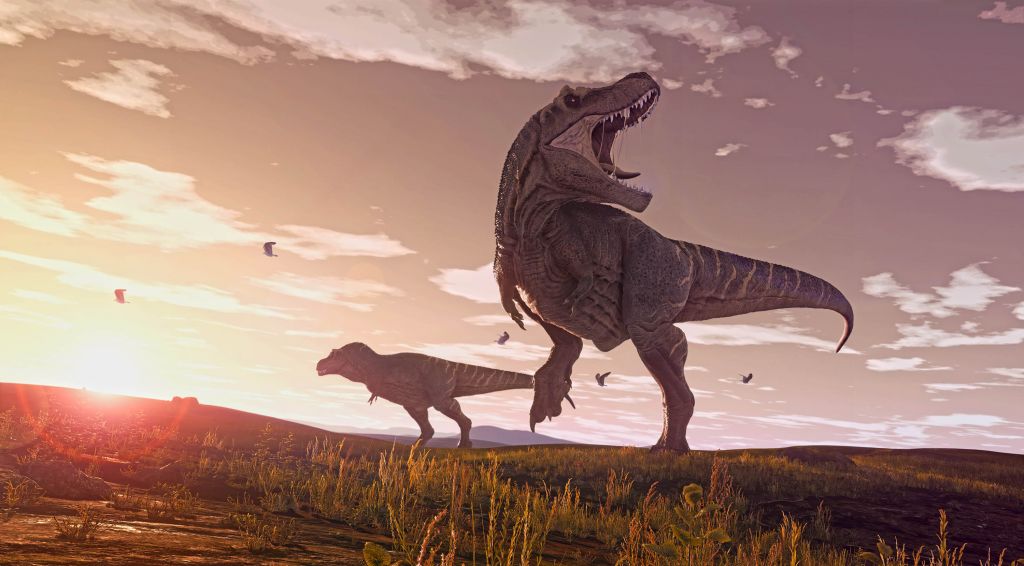 Two Tyrannosauruses in a field