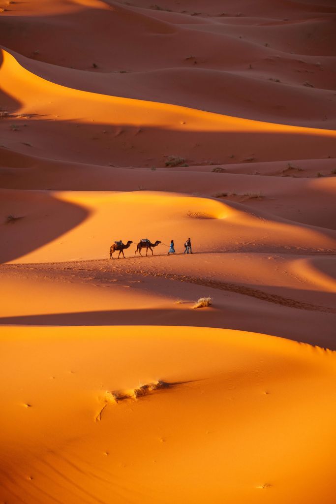 Top view of desert