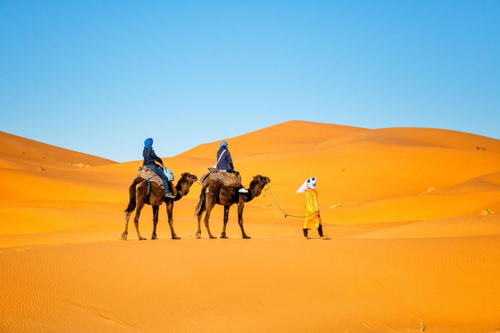 Camel ride through the desert