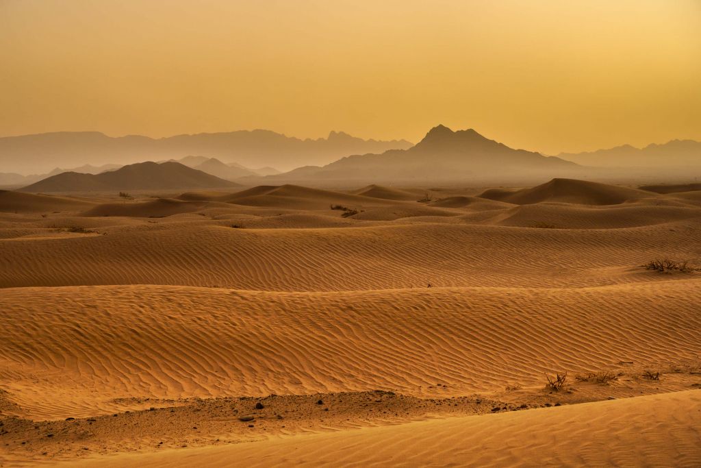 Desert desert