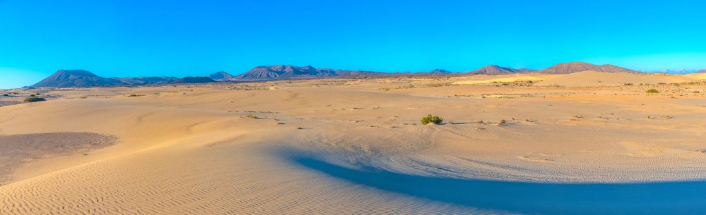 Sunrise over sand dunes