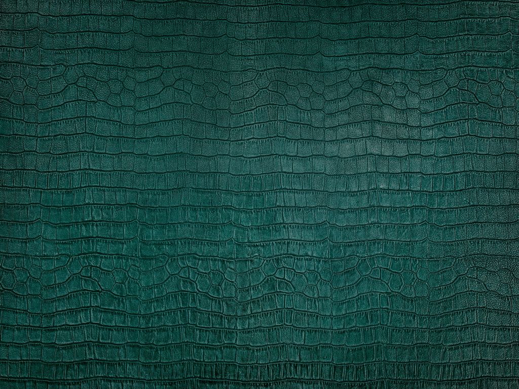 Reptile skin in green