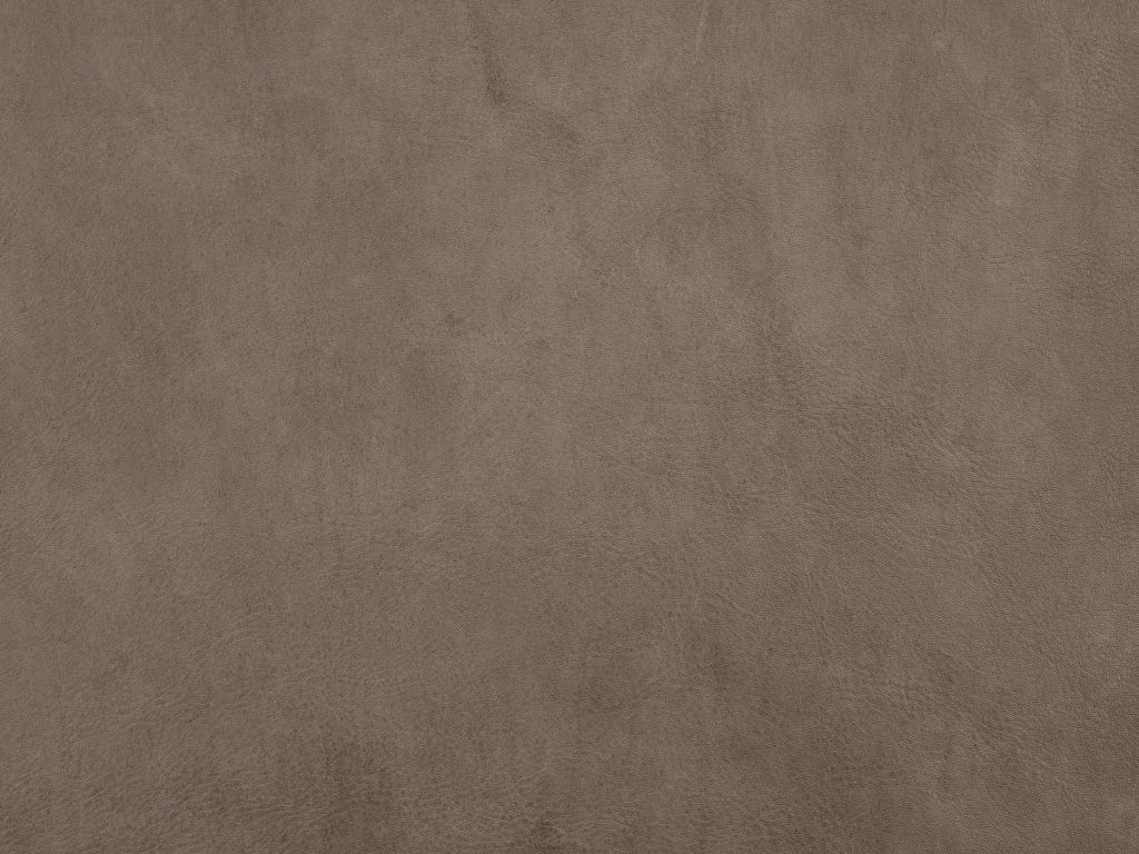 Taupe leather