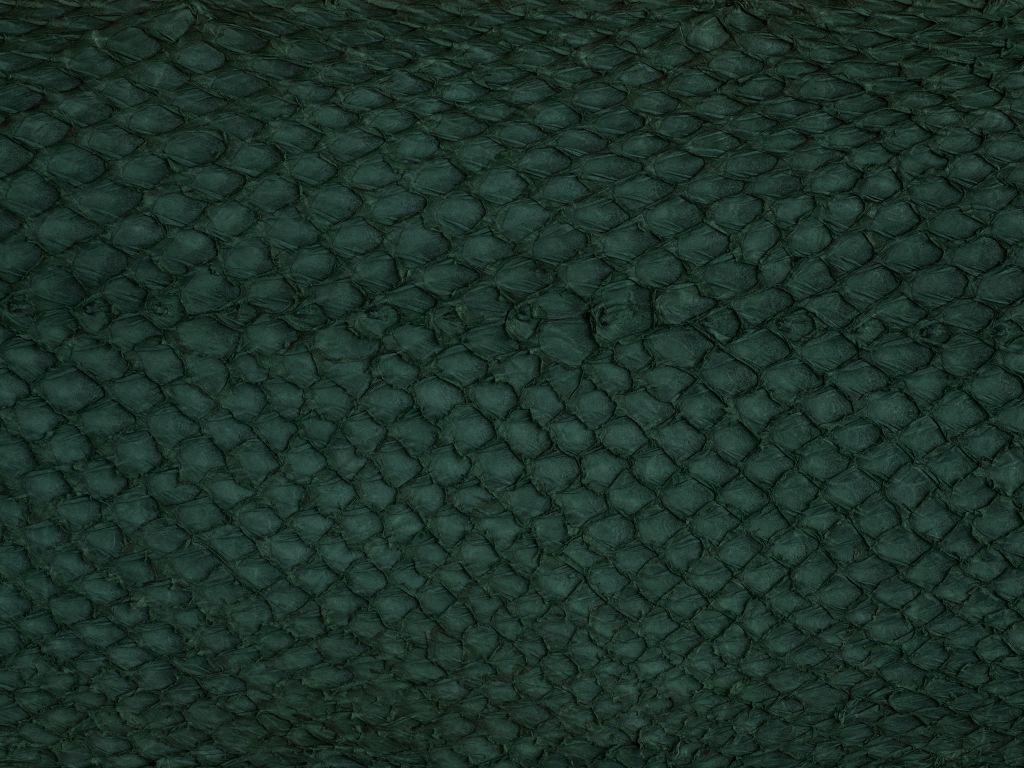 Salmon skin texture in green
