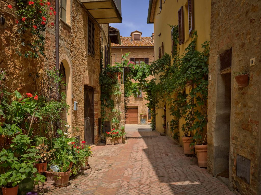 Italian street with plants