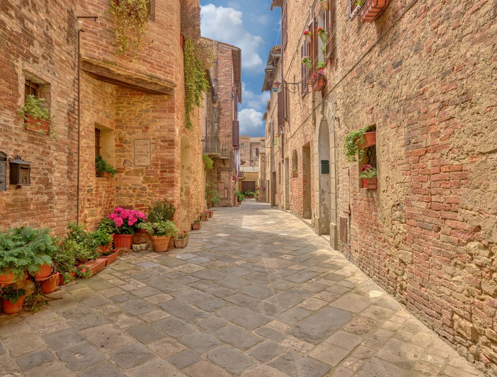 Italian street with plants and flowers