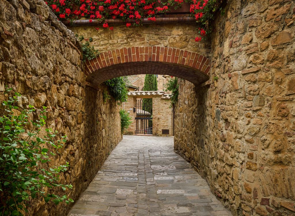 Little arch with red flowers