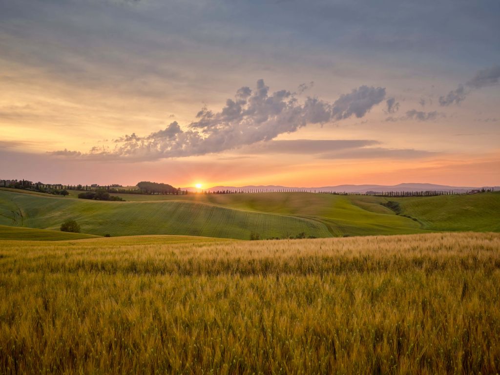 Sunset in Italian Landscape