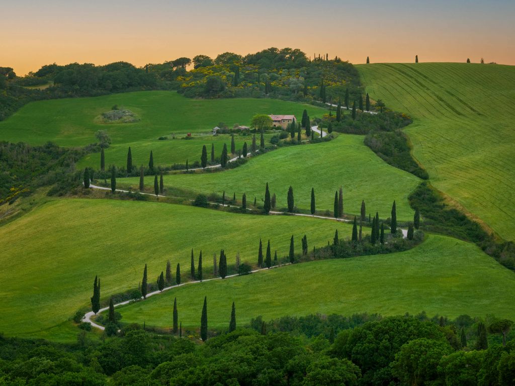 Winding road with cypresses