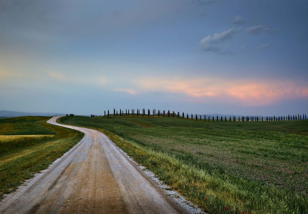 Road through Italian landscape