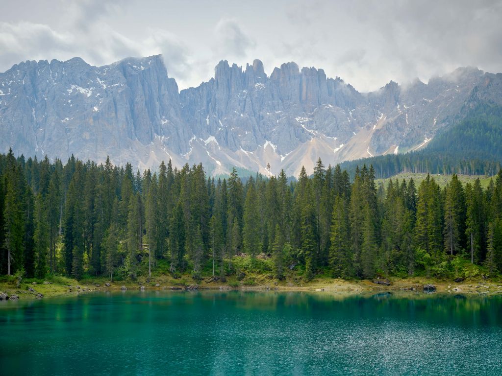 Tree line at mountain lake