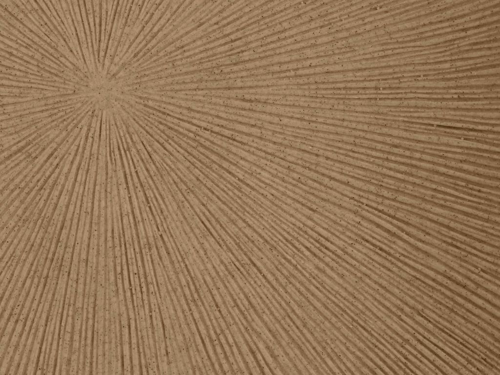 Structure with lines sun in gold brown