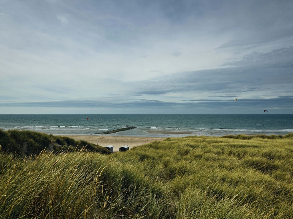 Beach from the dunes