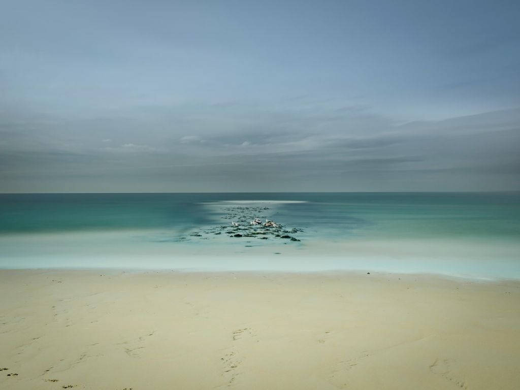 Calm sea with seagulls