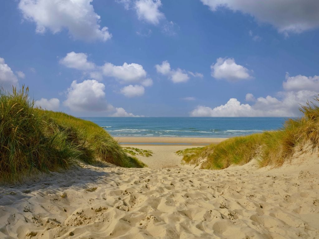 Beach access through the dunes