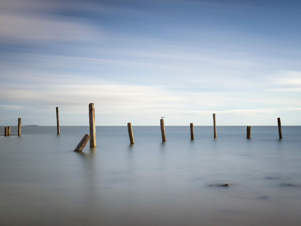 Old wooden poles in the sea