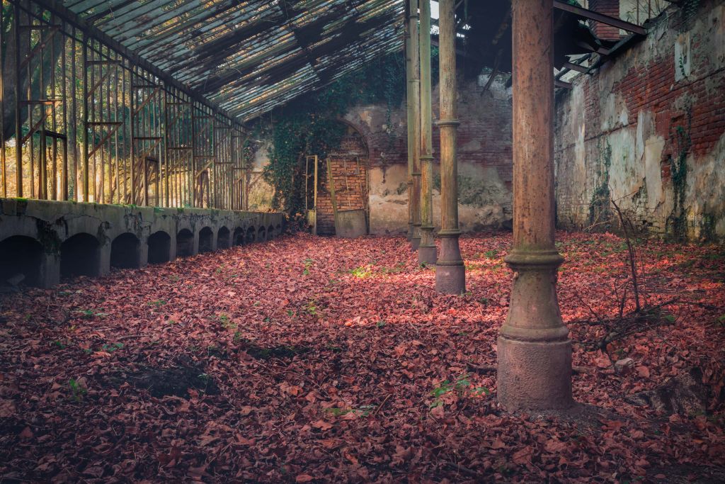 Abandoned house with leaves