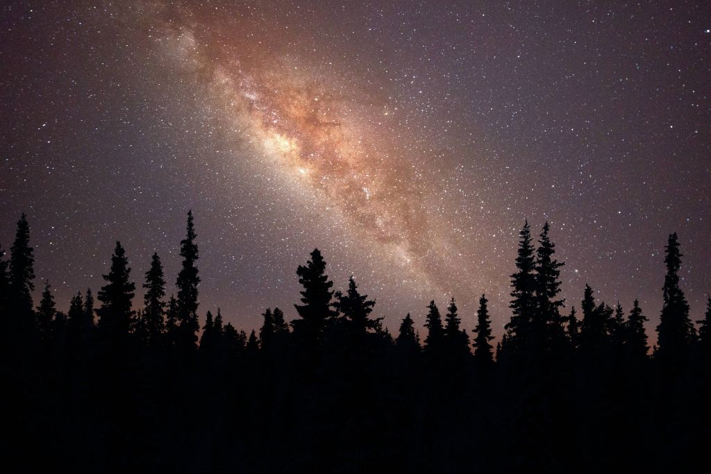 Milky way above silhouette of trees