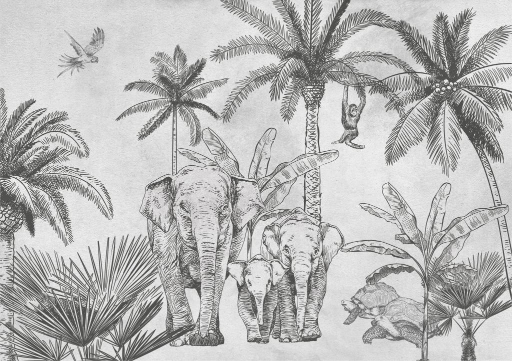 Elephants gray