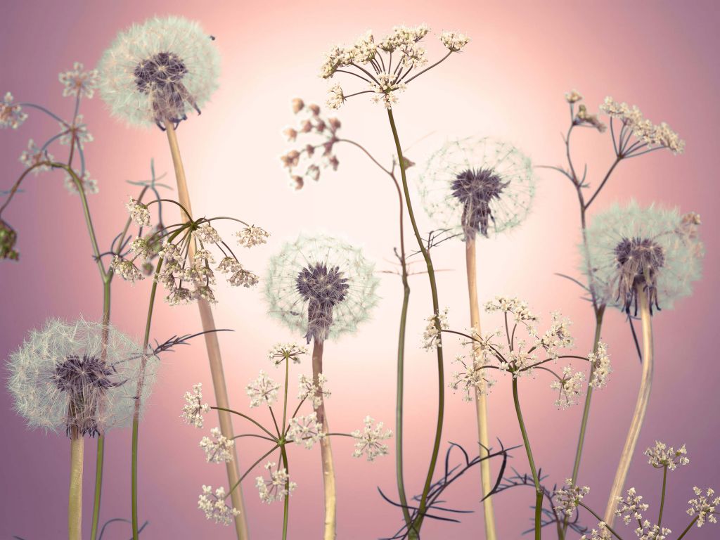 Meadow fantasy pink