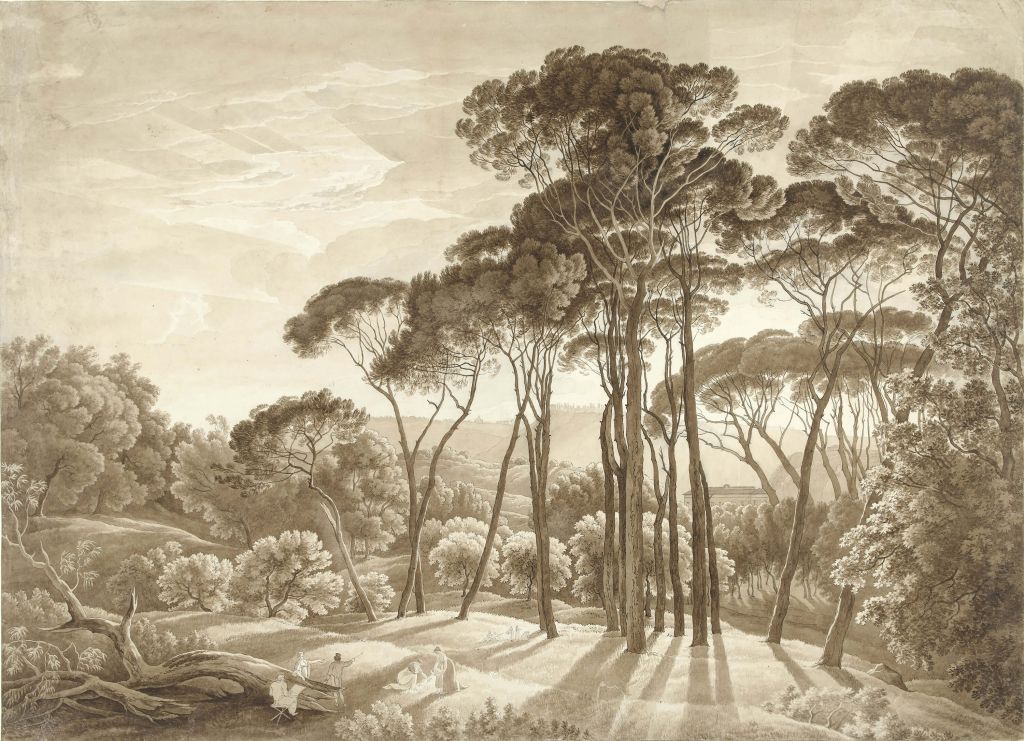 Forest landscape near Rome with setting sun