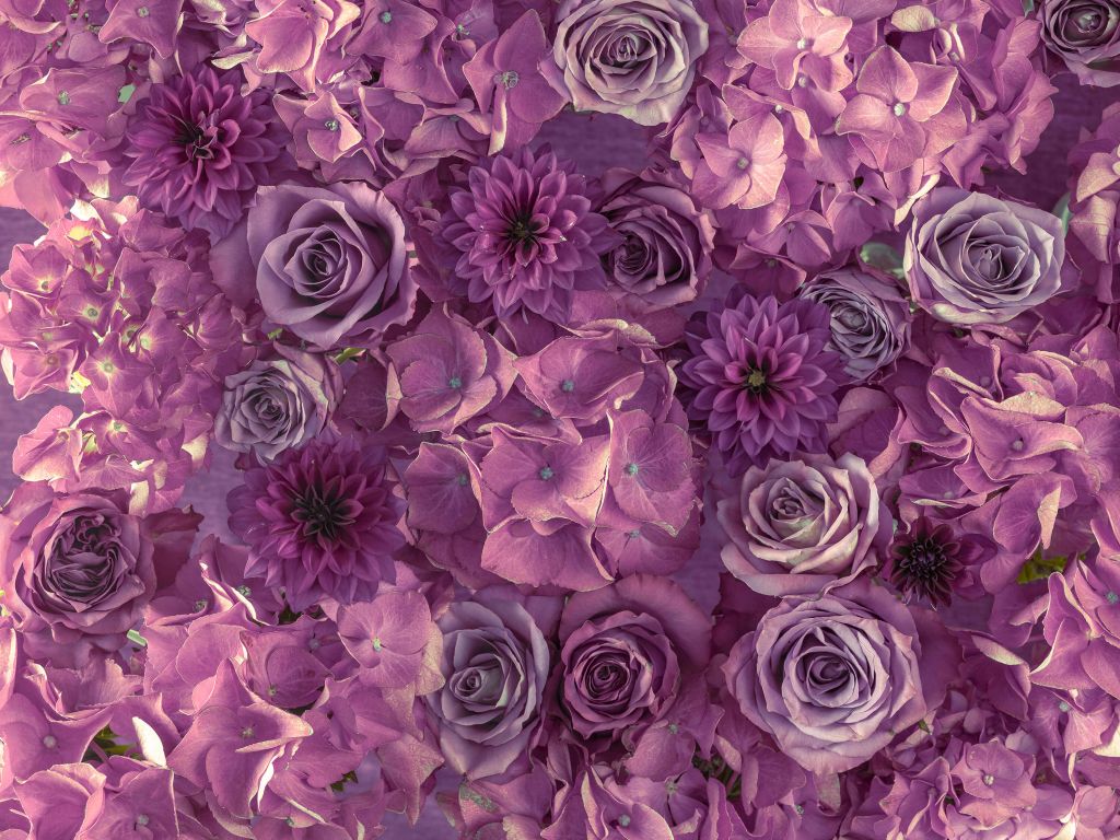 Purple hydrangeas, roses and dahlias