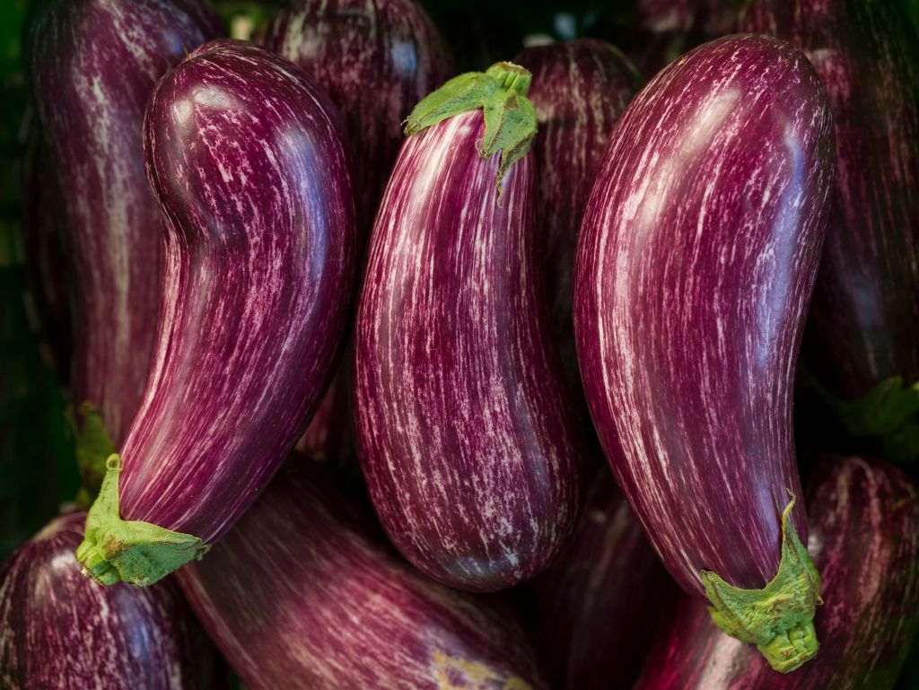 Eggplants