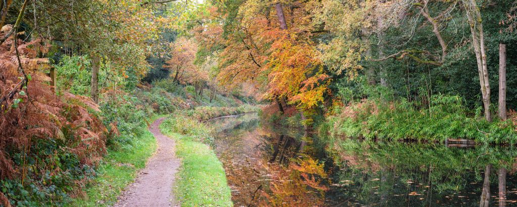 Path along canal