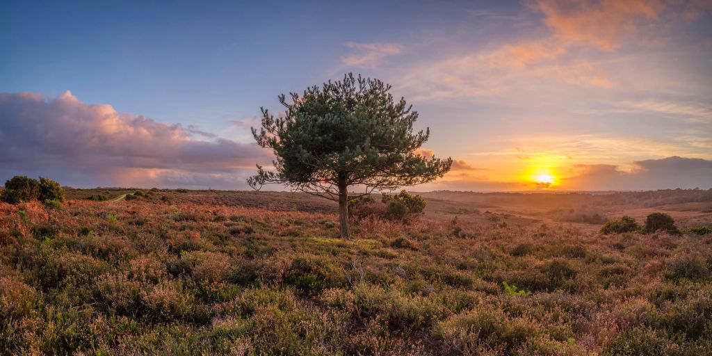 Sunset at a deserted area