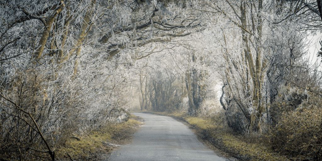 Frozen road through forest