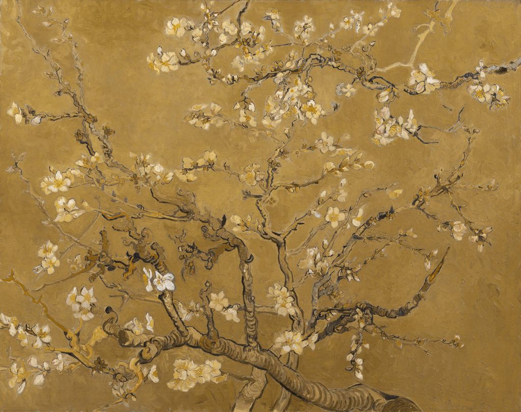 Yellow Almond Blossom