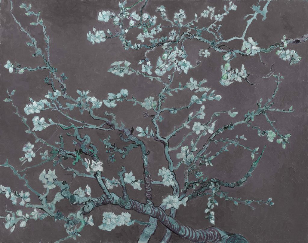 Almond blossom with a blue tint