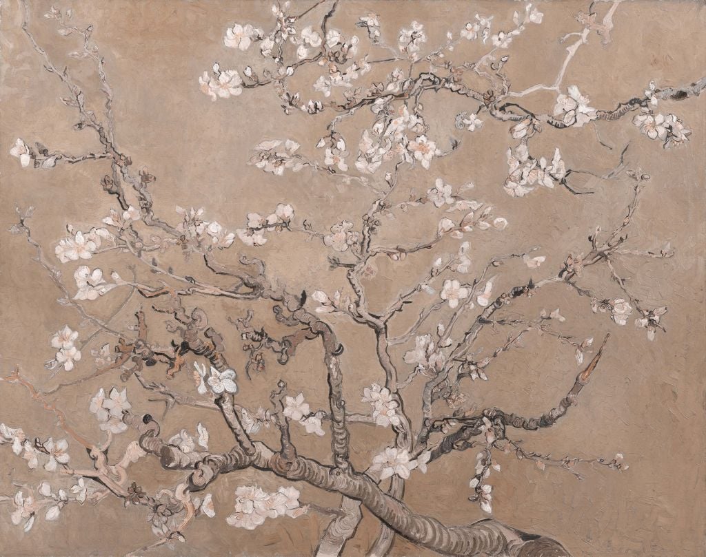 Light-coloured Almond Blossom