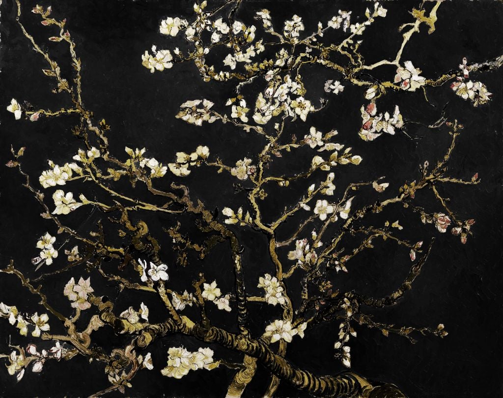 Dark Almond Blossom