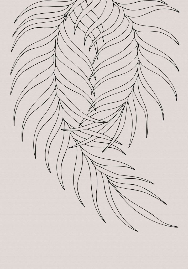 Leaf Frilly Pair